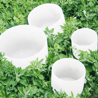 Singing Bowls for sound therapy made of high purity quartz in china for Mother's Day